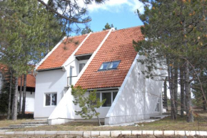 Zlatibor Karaula House